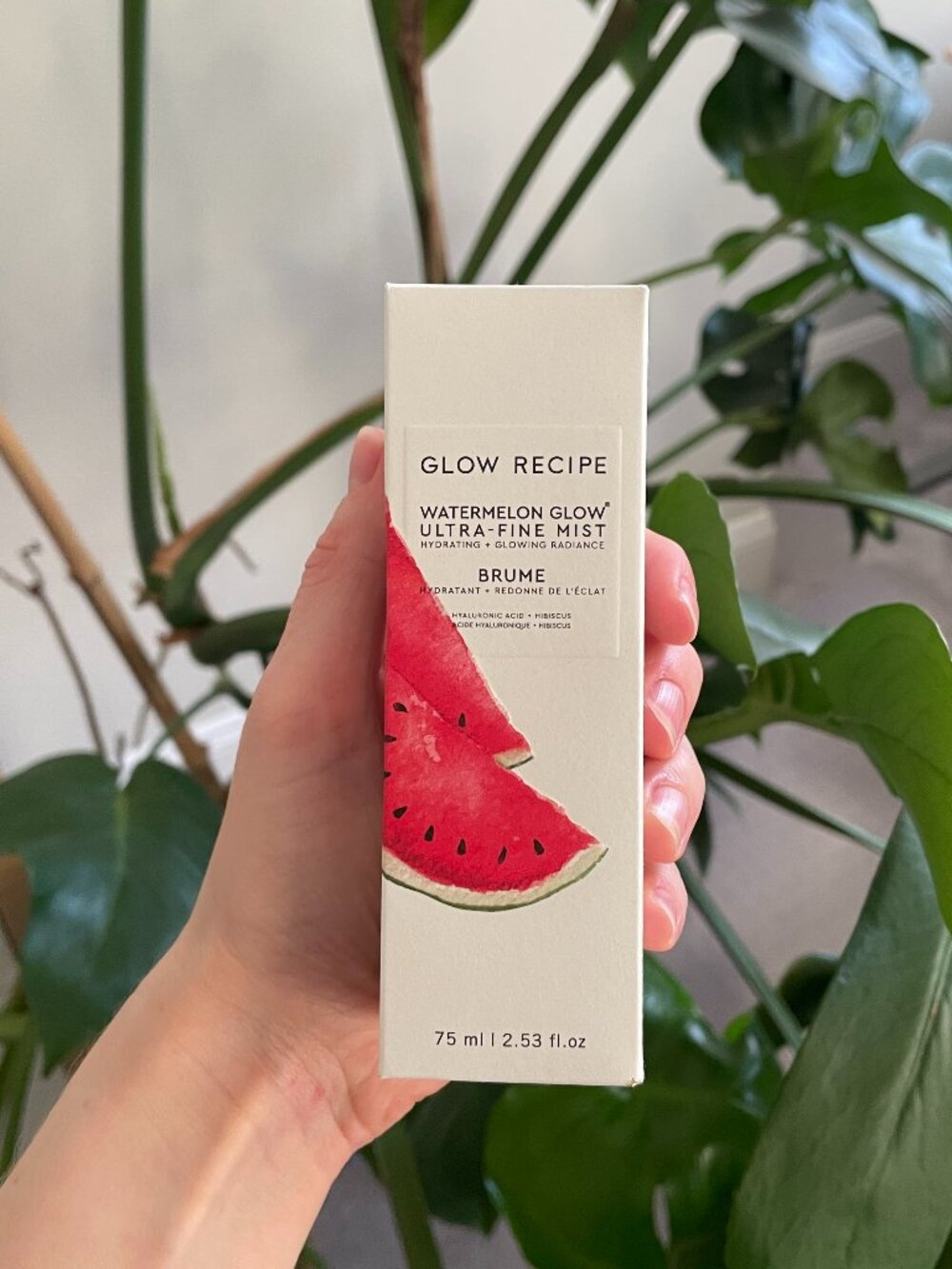 Glow Recipe Watermelon Glow Ultra Fine Mist